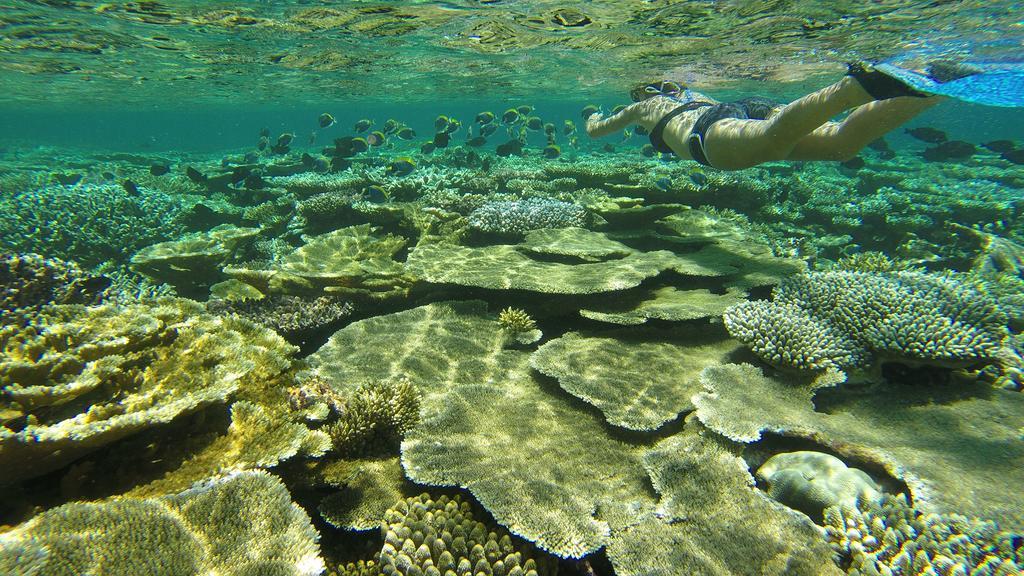 Natural Surf House Hostel Химафуши Екстериор снимка